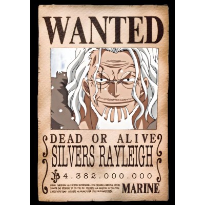 Placa Decorativa OnePiece Wanted Silver Raylight